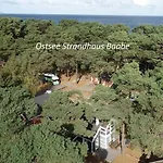 Ostsee Strandhaus Seerobbe