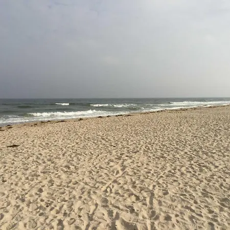 Ostsee Strandhaus Seerobbe