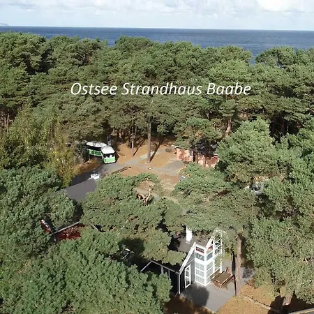 Ostsee Strandhaus Seerobbe