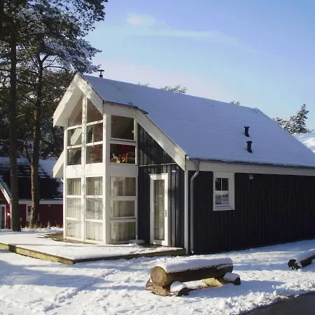 Ostsee Strandhaus Seerobbe Tatil Evi Baabe