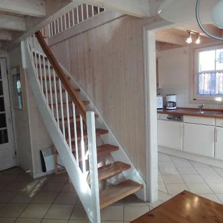 Ostsee Strandhaus Seerobbe Baabe