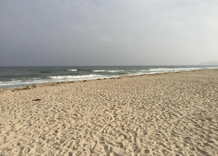 Ostsee Strandhaus Seerobbe
