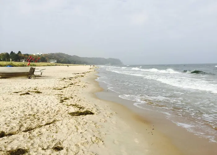 Tatil Evi Ostsee Strandhaus Seerobbe Baabe