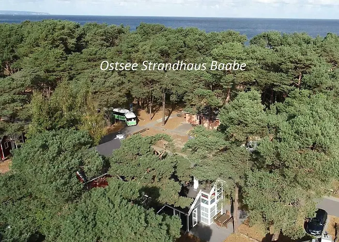 Ostsee Strandhaus Seerobbe